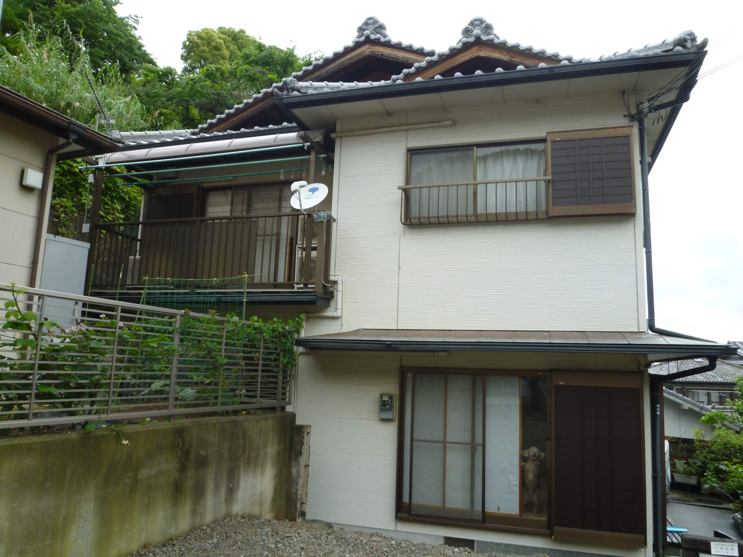 before画像